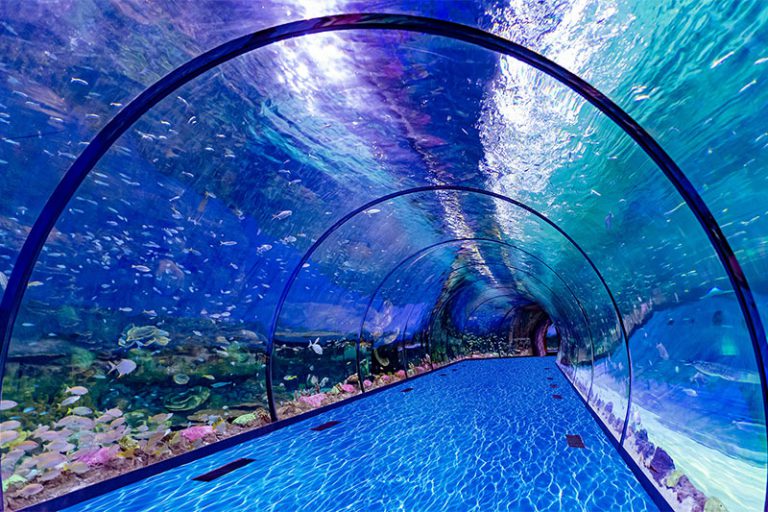 National Aquarium