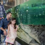 Dubai Aquarium and Underwater Zoo with Penguin Cove