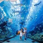 Dubai Aquarium and Underwater Zoo with Penguin Cove