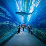 Dubai Aquarium and Underwater Zoo with Penguin Cove