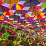Dubai Miracle Garden