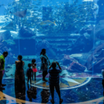 Lost World Aquarium Tickets (Atlantis Dubai The Palm)