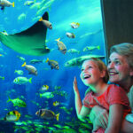 Lost World Aquarium Tickets (Atlantis Dubai The Palm)