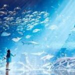 Lost World Aquarium Tickets (Atlantis Dubai The Palm)