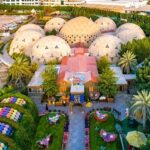 Butterfly Garden Dubai