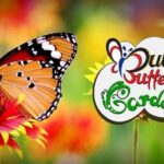 Butterfly Garden Dubai