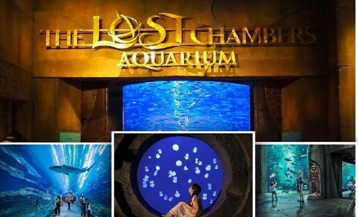 Lost World Aquarium Tickets AT Atlantis Dubai The Palm