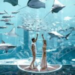 Lost World Aquarium Tickets (Atlantis Dubai The Palm)