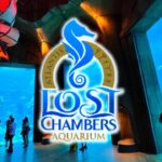 Lost World Aquarium Tickets (Atlantis Dubai The Palm)