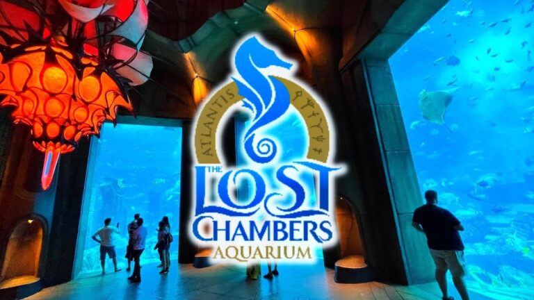 Lost World Aquarium Tickets (Atlantis Dubai The Palm)