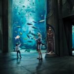 Lost World Aquarium Tickets (Atlantis Dubai The Palm)