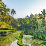 Bali – The Island of Paradise, Luxury, and Endless Adventure