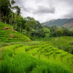 Sri Lanka – Discover the Jewel of the Indian Ocean