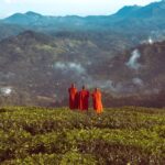 Sri Lanka – Discover the Jewel of the Indian Ocean