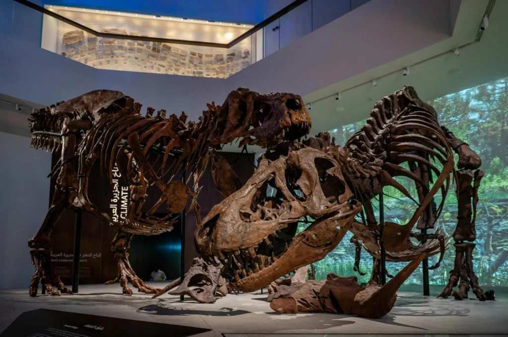 Natural History Museum
