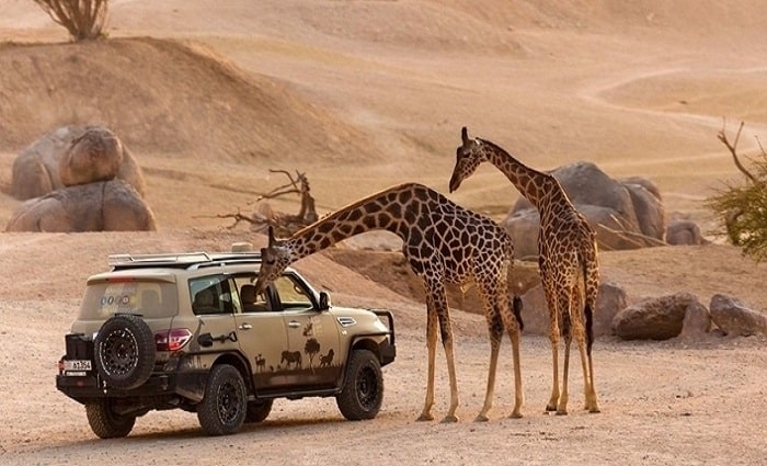 Al Ain Zoo